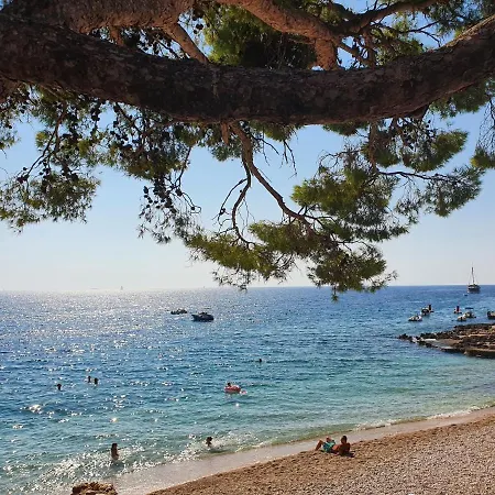 Zavala-lighthouse דירה זבלה